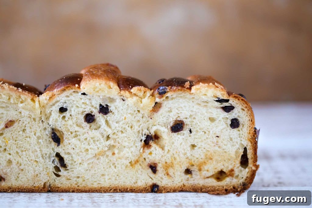 Artisan Sourdough Hot Crossed Buns 4 Close-up of the tender, open crumb of a Sourdough Hot Crossed Bun, revealing currants within.