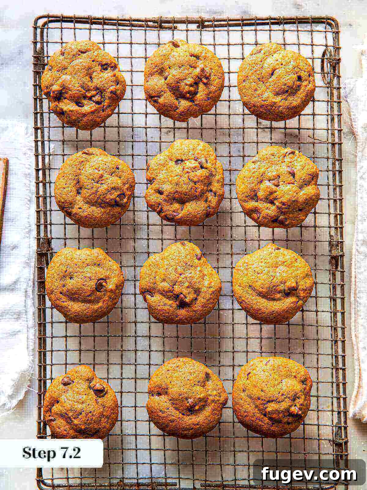 Spiced Pumpkin Chocolate Delights 11 Freshly baked pumpkin chocolate chip cookies cooling on a wire rack, uniced and ready for frosting.