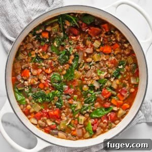 Large pot with lentil wild rice soup.
