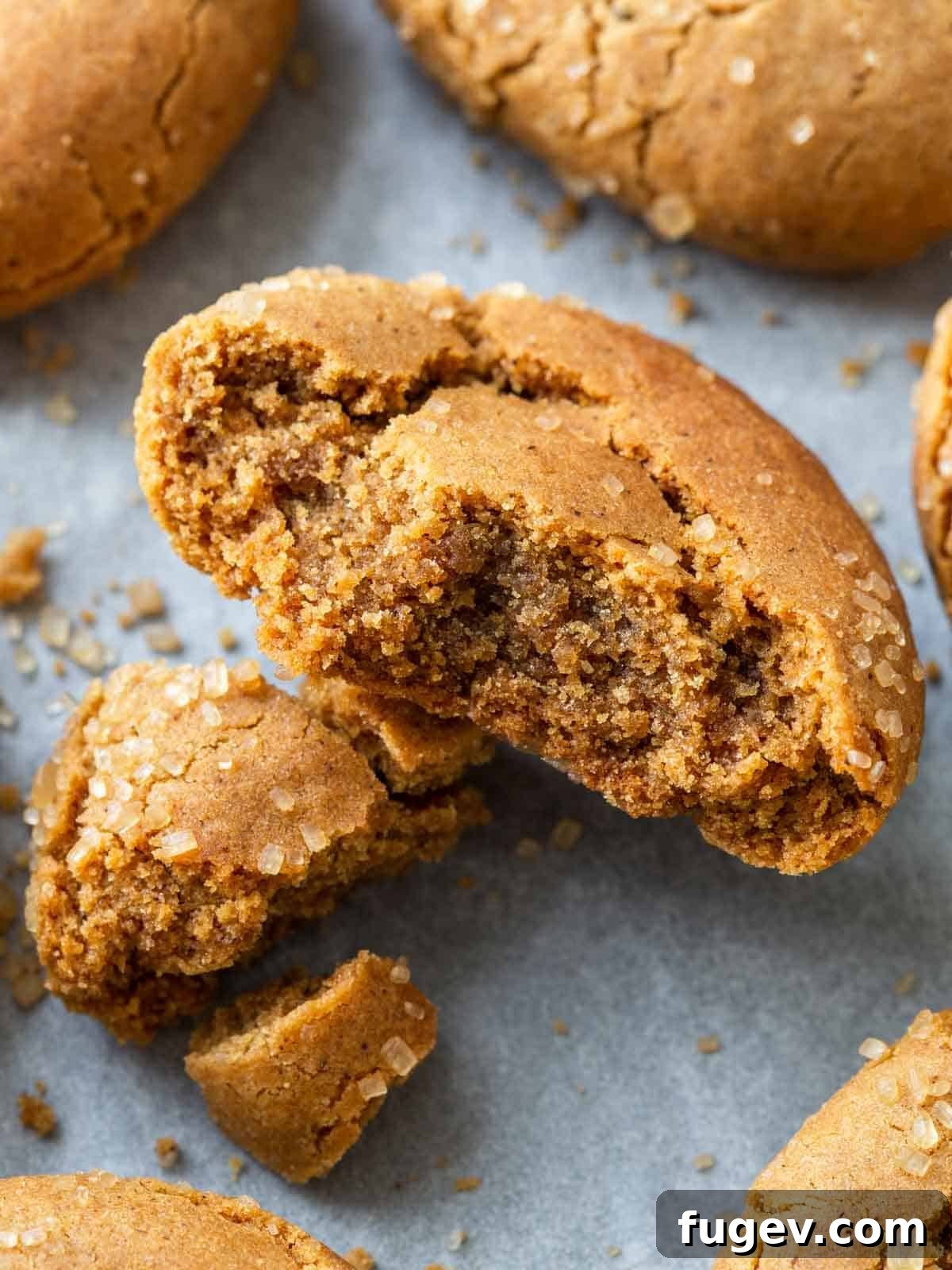 Richly Spiced Cookies 2 Close-up of a chewy molasses cookie interior, showcasing its soft texture.