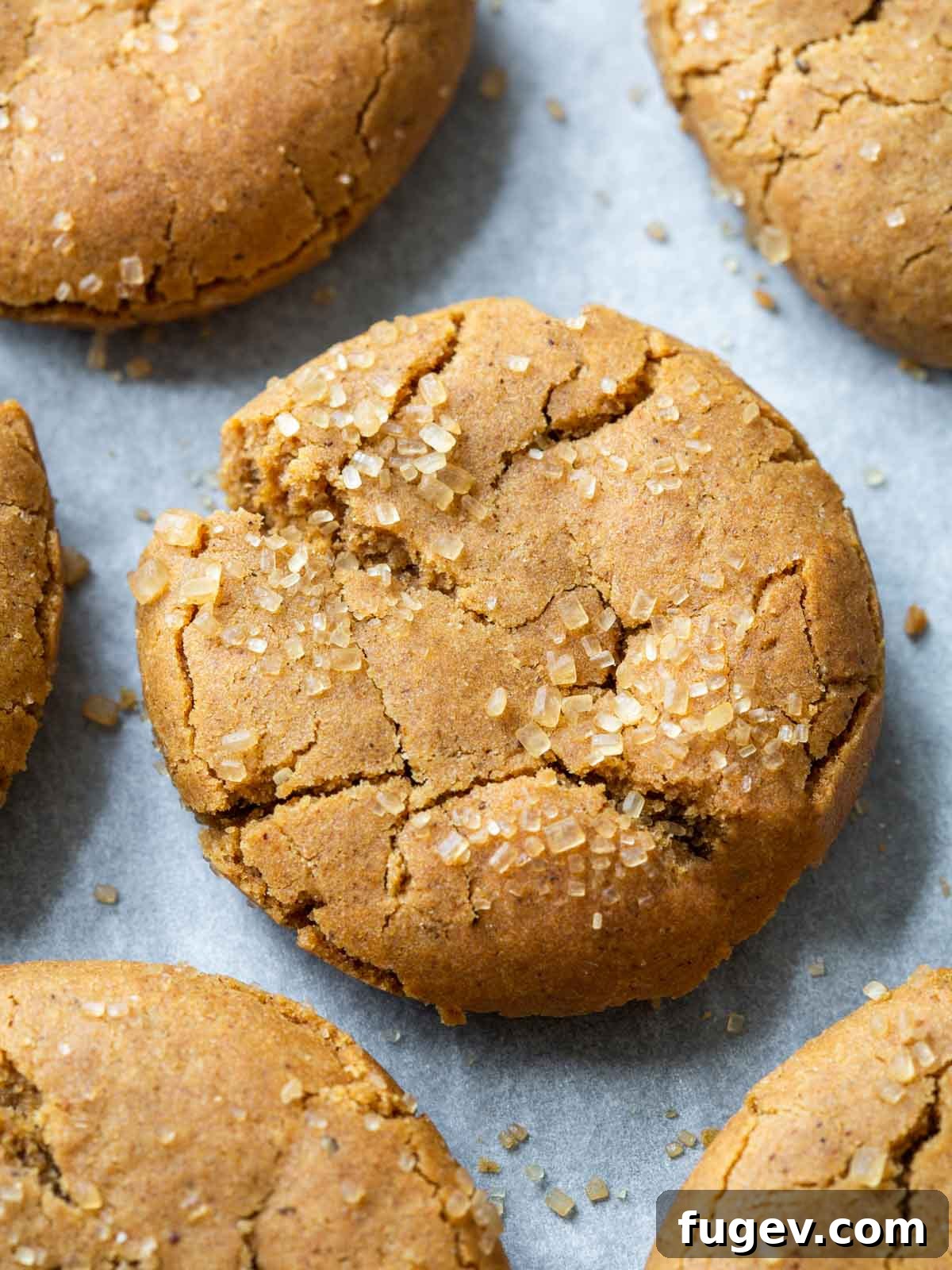 Richly Spiced Cookies 3 Detailed close-up of a molasses spice cookie, showing its cracked surface and sparkling sugar coating.