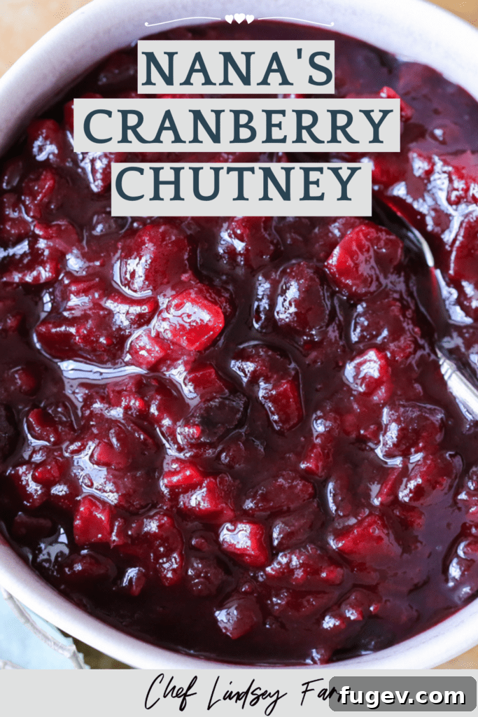 Ruby Red Cranberry Chutney 10 Nana’s Cranberry Chutney - another alternative image