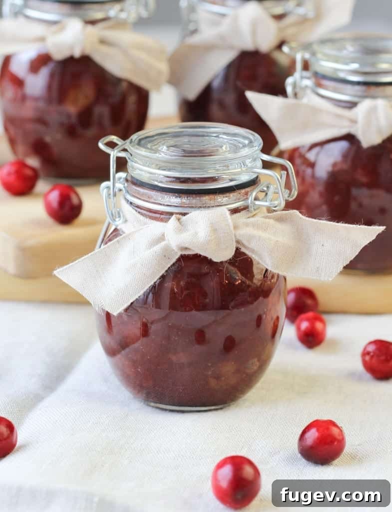 Ruby Red Cranberry Chutney 7 A beautifully presented serving of Nana's Cranberry Chutney in a small bowl, garnished for appeal.