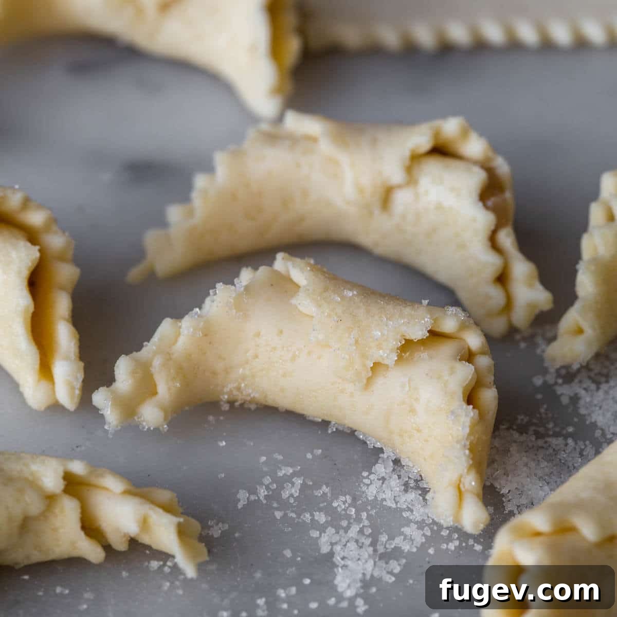 Hungarian Walnut Roll Cookies 12 nut roll cookies rolled up and unbaked.