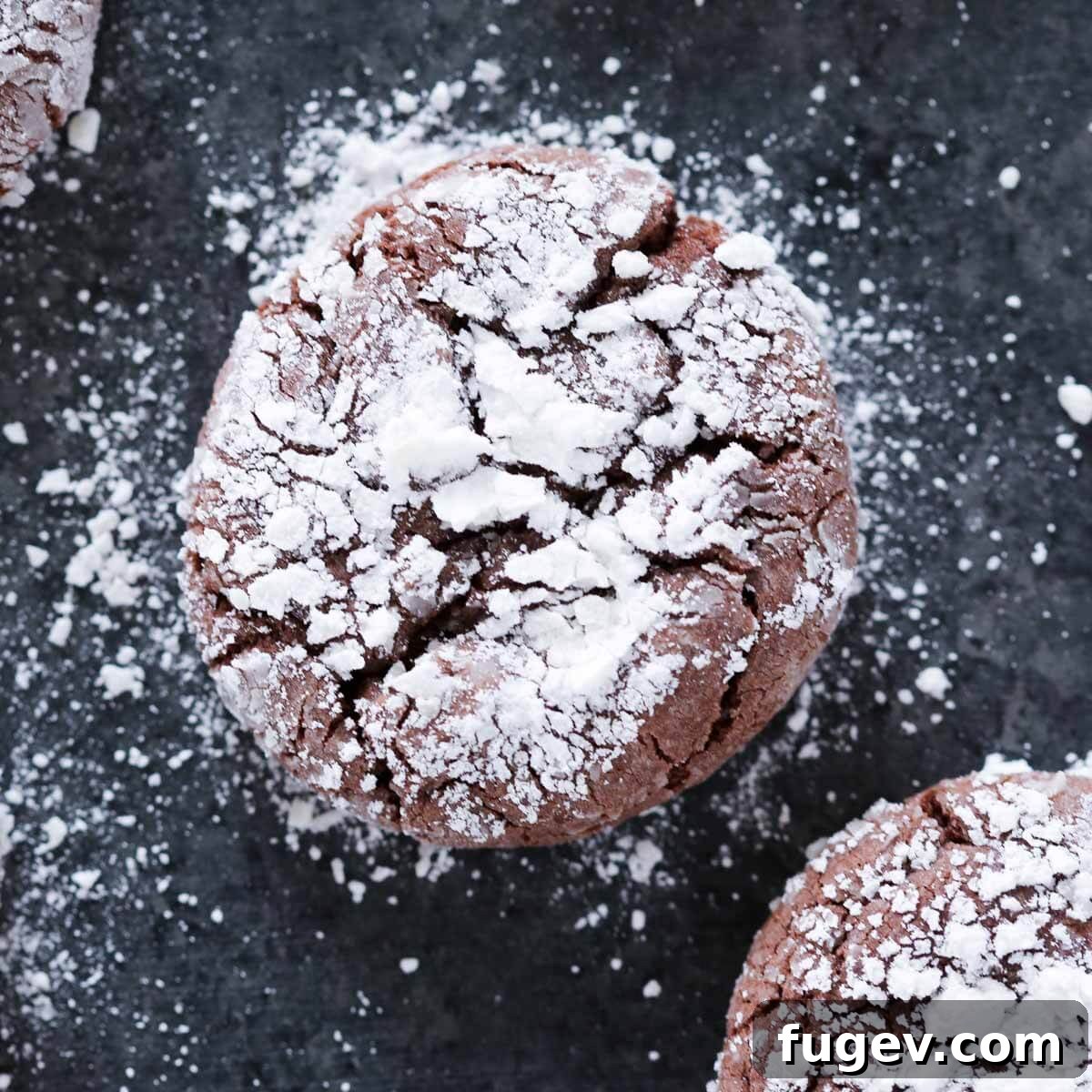 Fudgy Chocolate Crinkles 3 Close-up of a chocolate crinkle cookie with a perfectly crackled, powdered sugar top.
