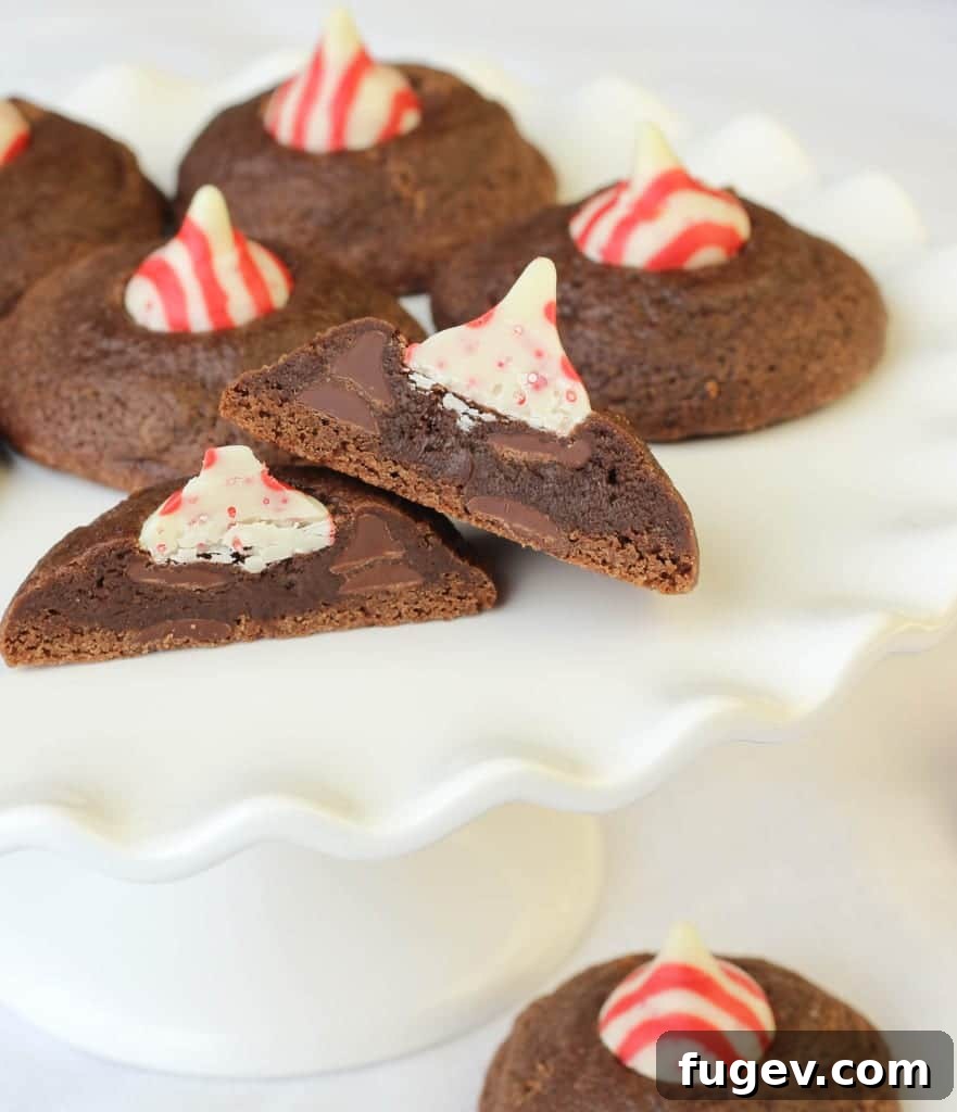 Rich Peppermint Chocolate Kisses 2 Rich Double Chocolate Peppermint Kiss Cookies with a shiny chocolate coating