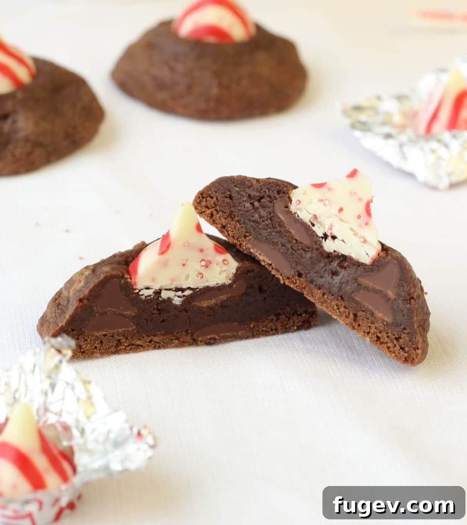 Rich Peppermint Chocolate Kisses 6 Close-up of the delicate swirl on a Double Chocolate Peppermint Kiss Cookie