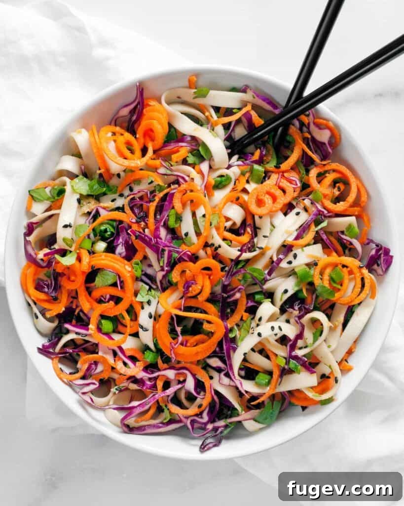 Zesty Sesame Ginger Noodles 2 Vibrant Sesame Ginger Noodles, a fresh vegan dish with carrots and red cabbage