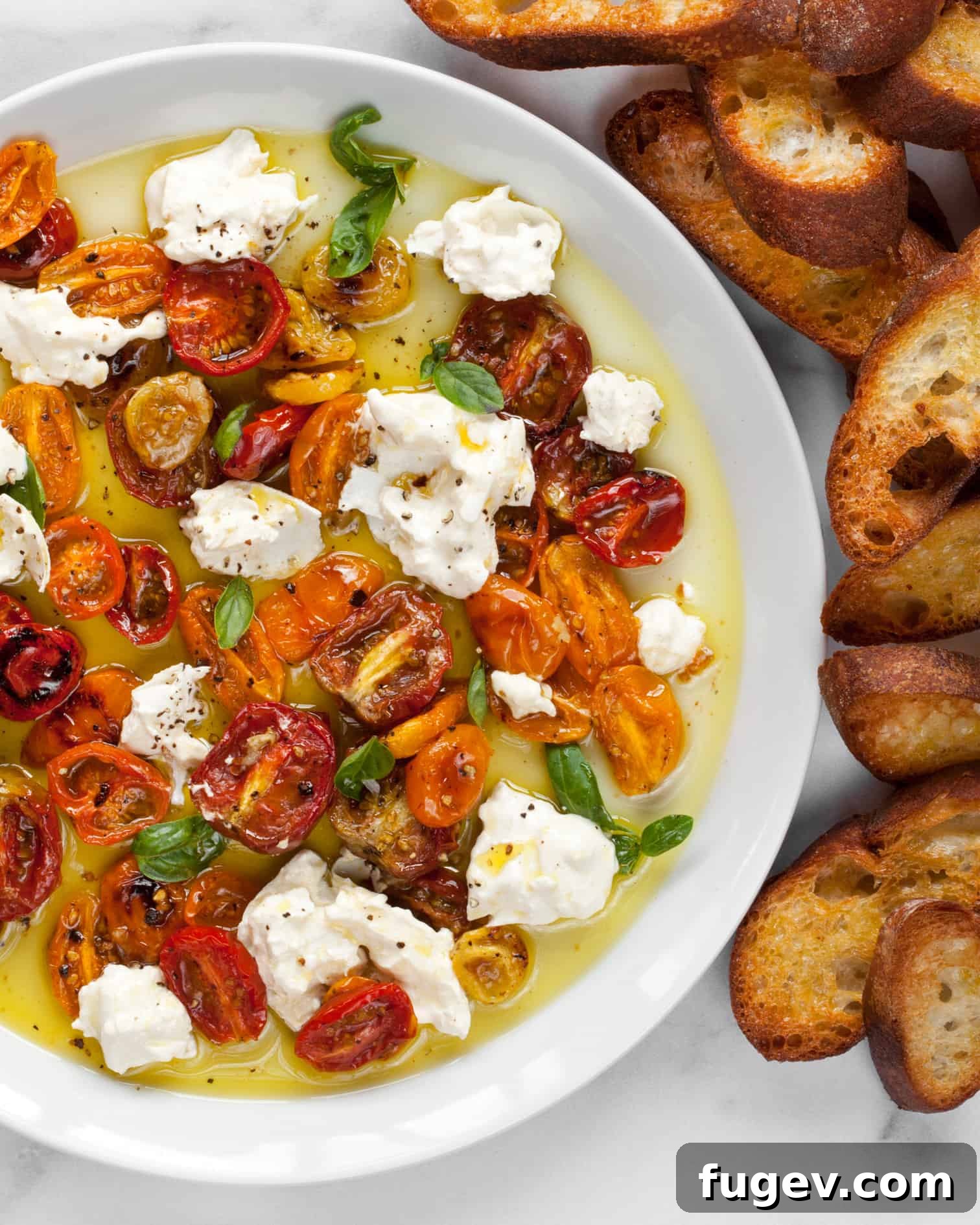 Sun-Kissed Tomato Burrata 8 Burrata With Roasted Tomatoes