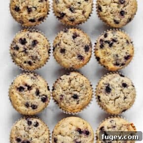 Vegan Blueberry Chia Muffins