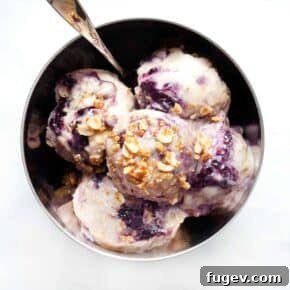 Vegan Blueberry Crumble Ice Cream
