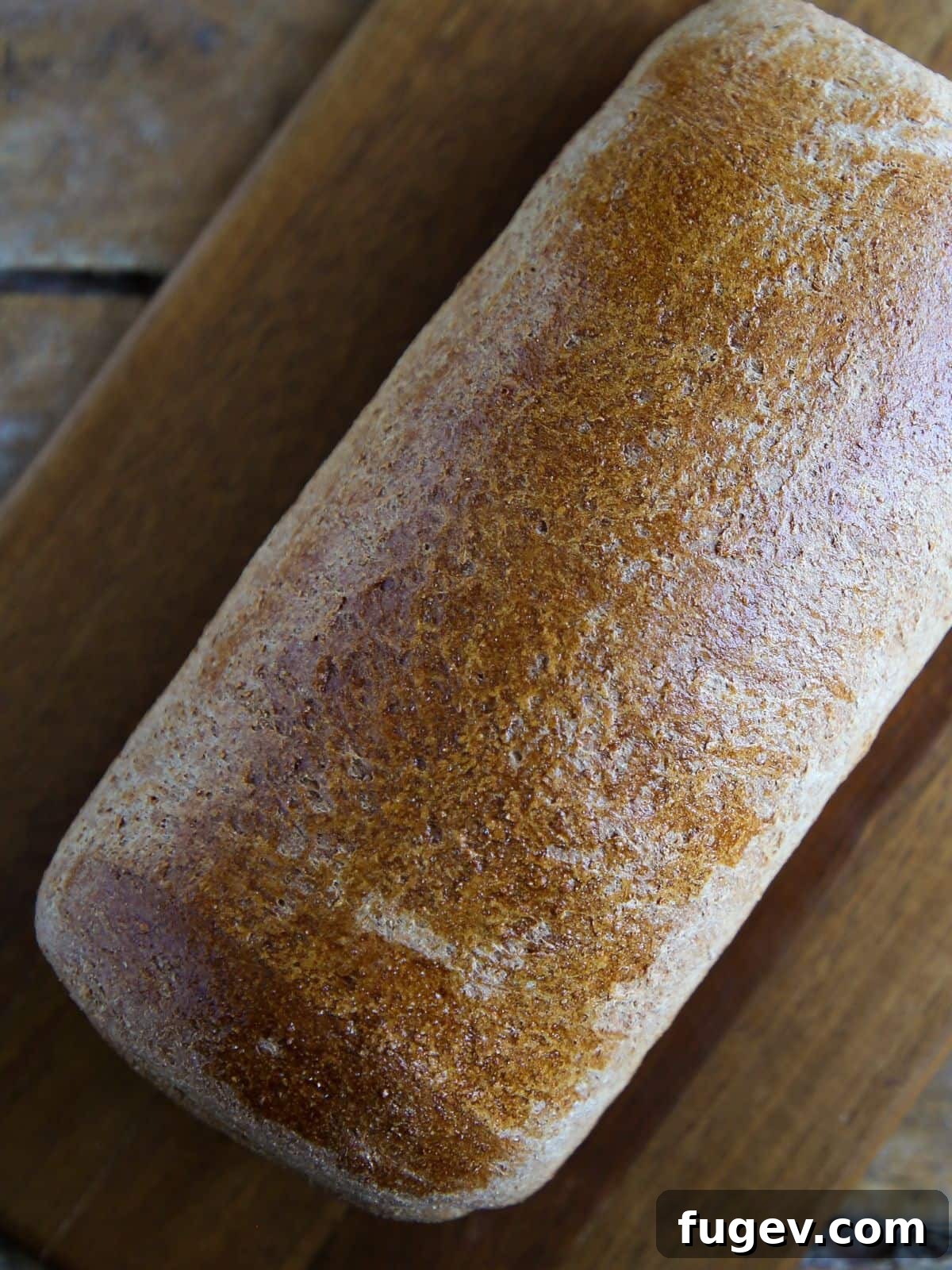 Whole Wheat Sourdough Bread 5 An unsliced, golden-brown loaf of whole wheat sandwich bread, freshly baked.