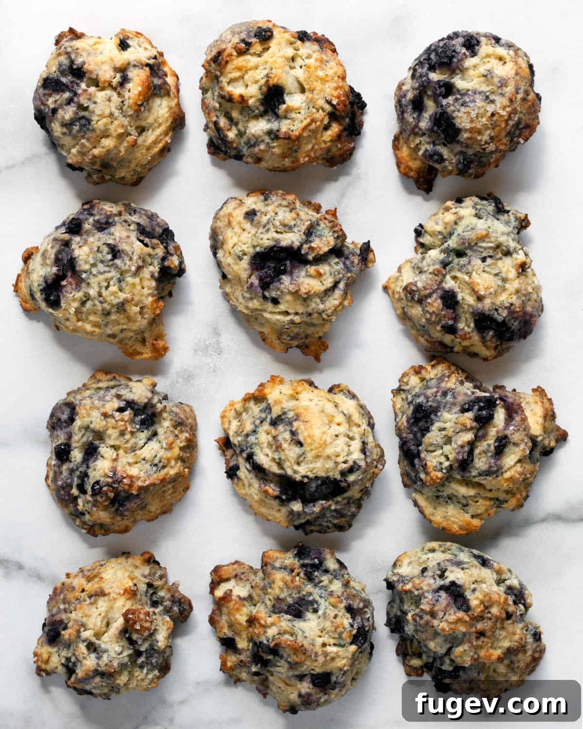 Zesty Lemon Blueberry Scones 2 Four rows of golden-brown lemon blueberry scones, freshly baked and ready to eat.