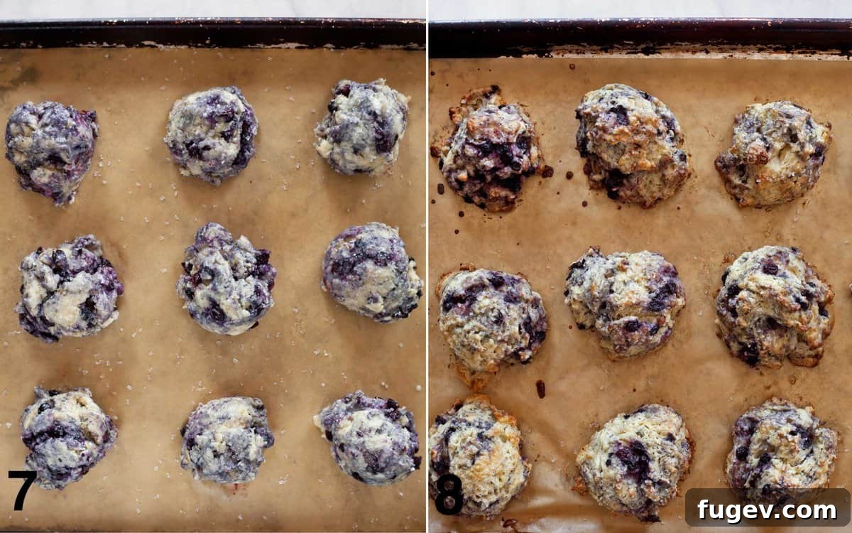 Zesty Lemon Blueberry Scones 7 Scones on a sheet pan, shown before and after baking, with a beautiful golden crust.