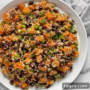 Butternut squash and black bean quinoa on a plate, garnished with fresh cilantro.