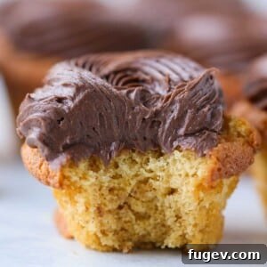 A beautifully decorated chocolate caramel cupcake.