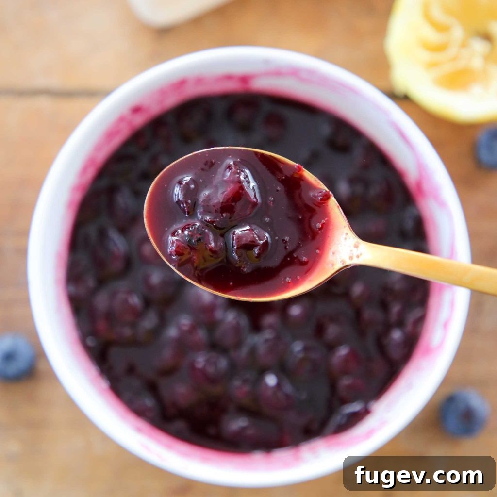 No-Fuss Blueberry Sauce 3 Blueberry Sauce Topping Overhead View
