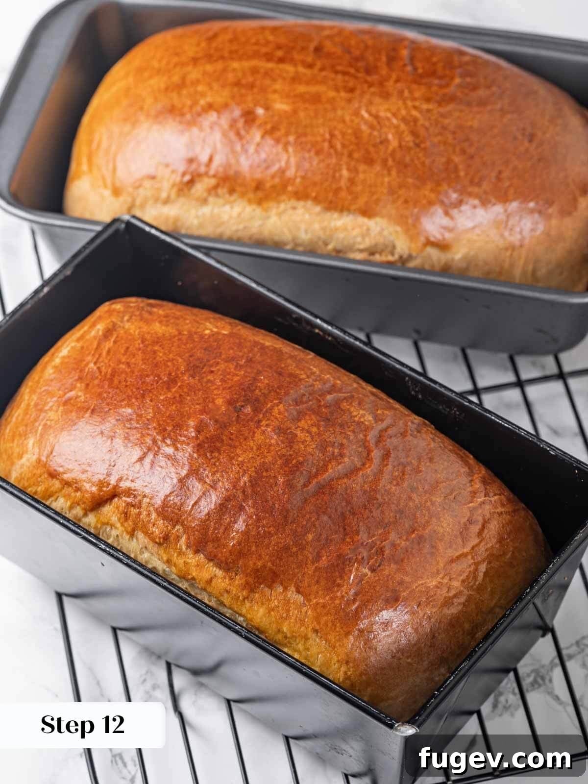 Golden Buttery Brioche Loaf 16 A freshly baked, golden-brown brioche bread loaf cooling on a wire rack.