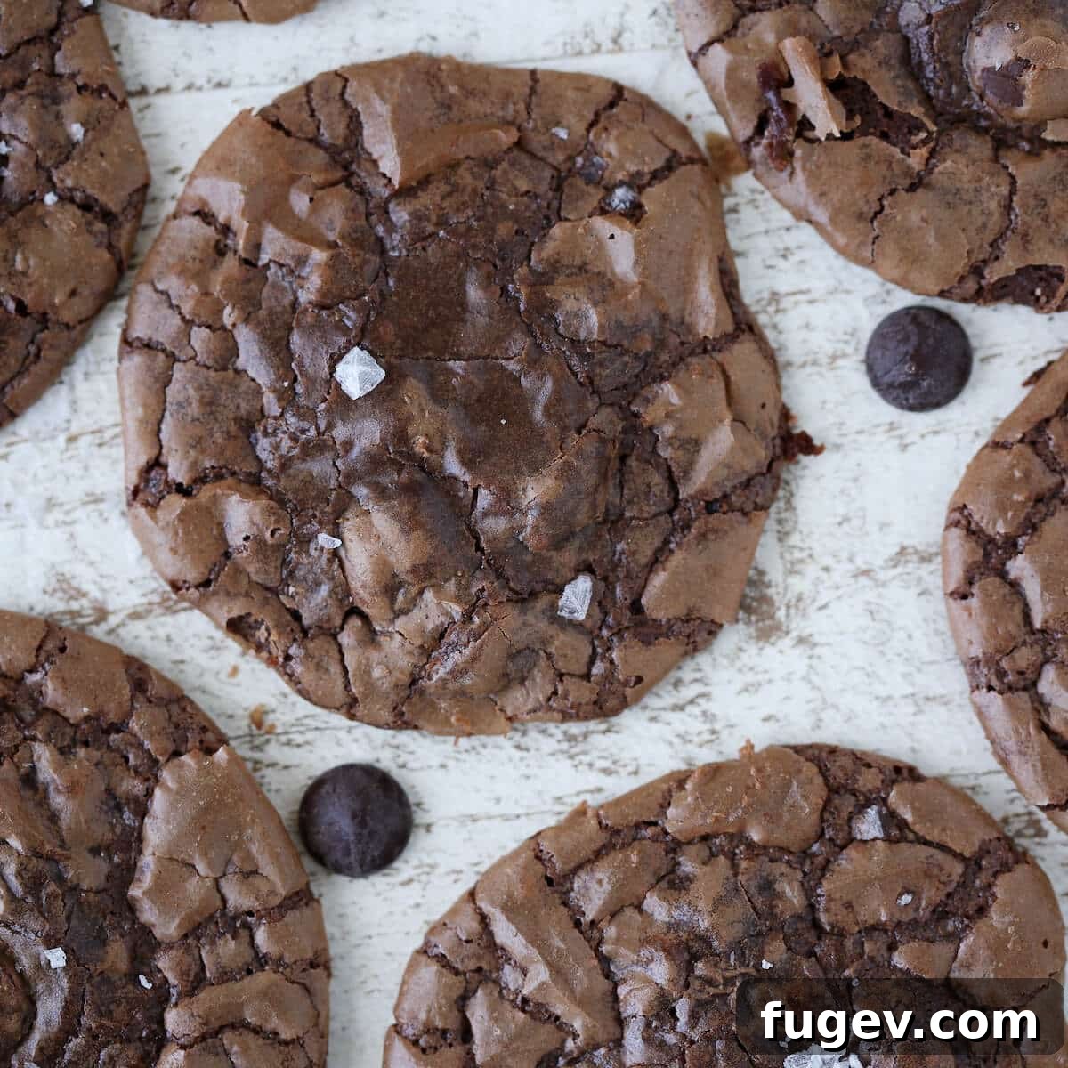 Fudgy Brownie Cookies 3 Brownie cookies with a crackled top.