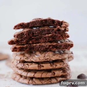 Fudgy Brownie Cookies Delicious Stack