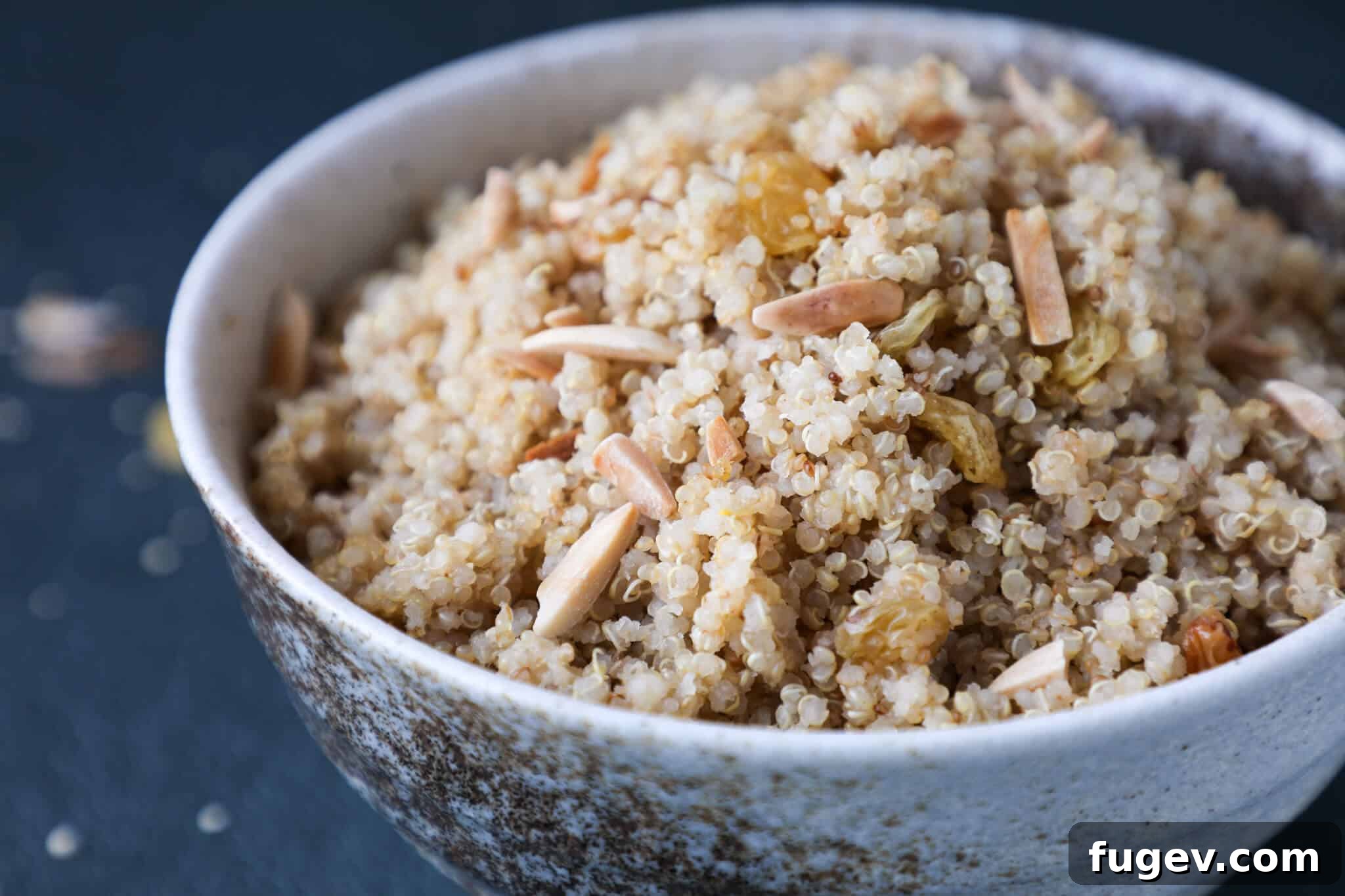 Quinoa Pilaf Side View Close-up Quinoa Pilaf Side View