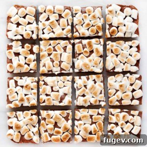 Smore Bars with a golden toasted marshmallow topping