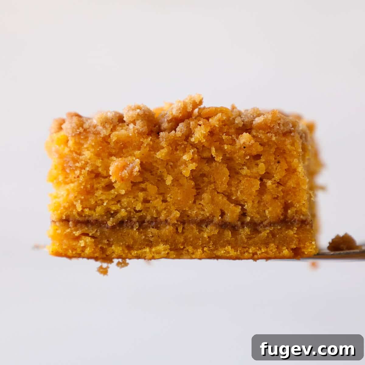 Spiced Pumpkin Streusel Cake 4 A detailed side view of pumpkin coffee cake, highlighting the distinct crumb topping and spicy filling layer.
