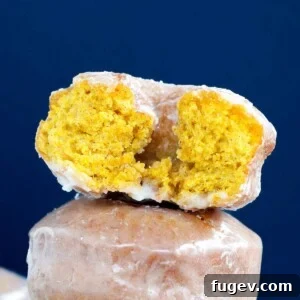 Close-up details of a Pumpkin Spice Cake Donut, showing its texture