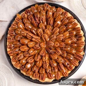 An entire Chocolate Pecan Pie, showcasing its rich, dark filling and beautifully arranged pecan topping.