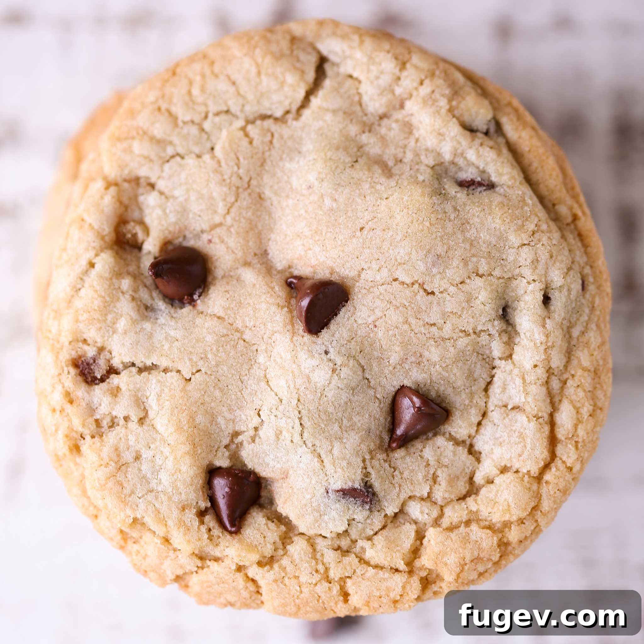 My Signature Chewy Chocolate Chip Cookies 3 Close-up of golden brown chocolate chip cookies