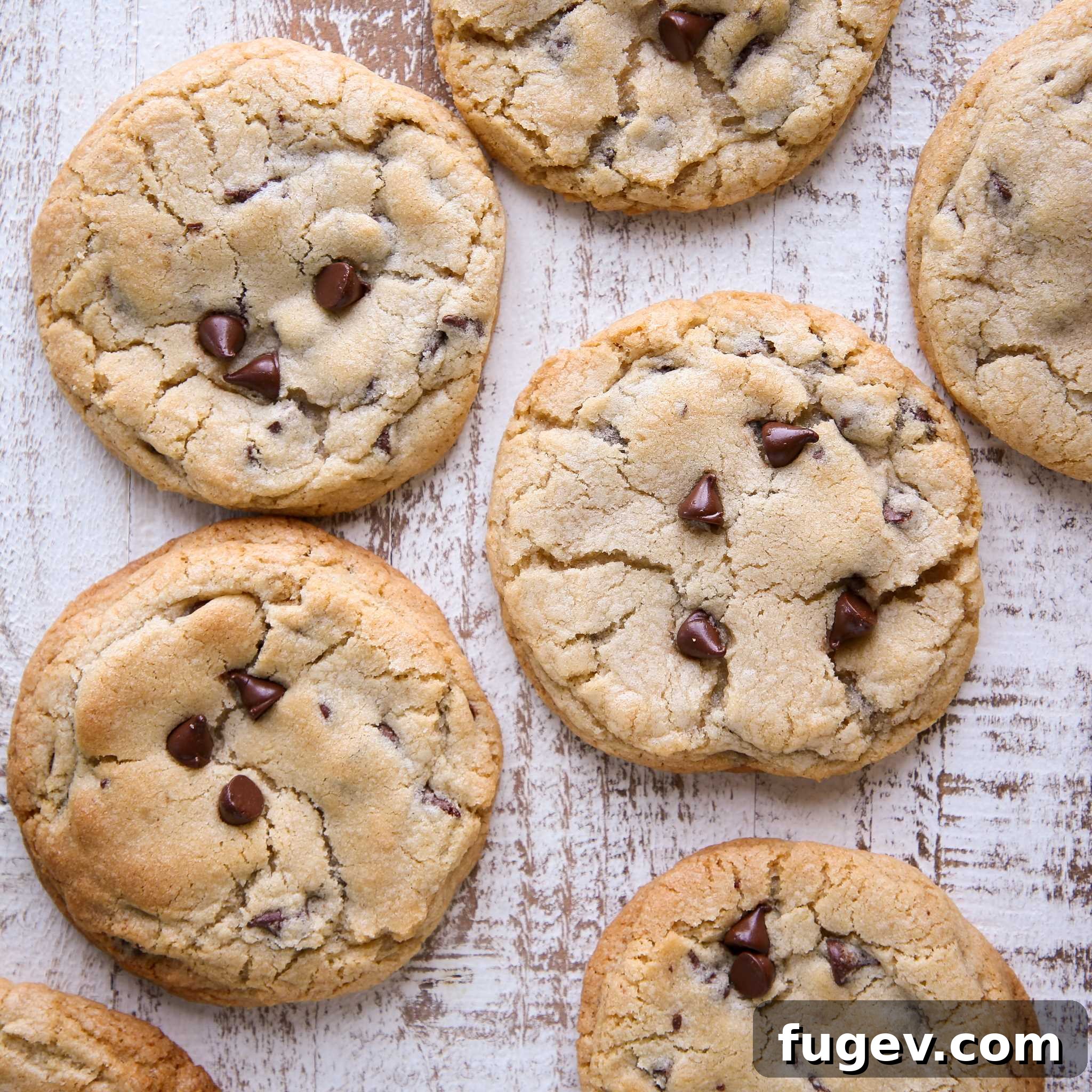 My Signature Chewy Chocolate Chip Cookies 6 A plate of freshly baked chewy chocolate chip cookies