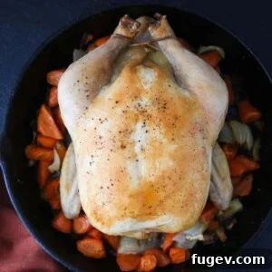 Golden Roast Perfection 5 How to Roast Whole Chicken Perfect Golden
