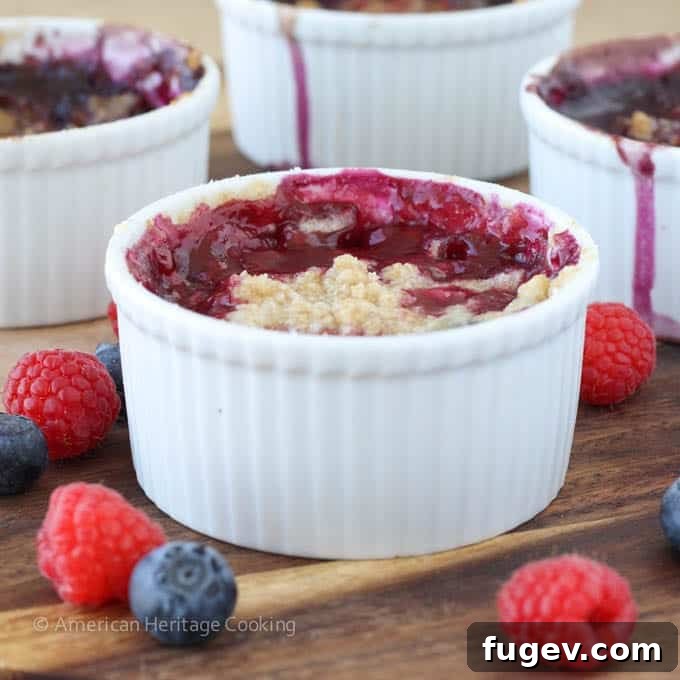 Sweet Blueberry Raspberry Crumble Cups 3 Close-up of a single serving blueberry raspberry crumble with a golden-brown topping.