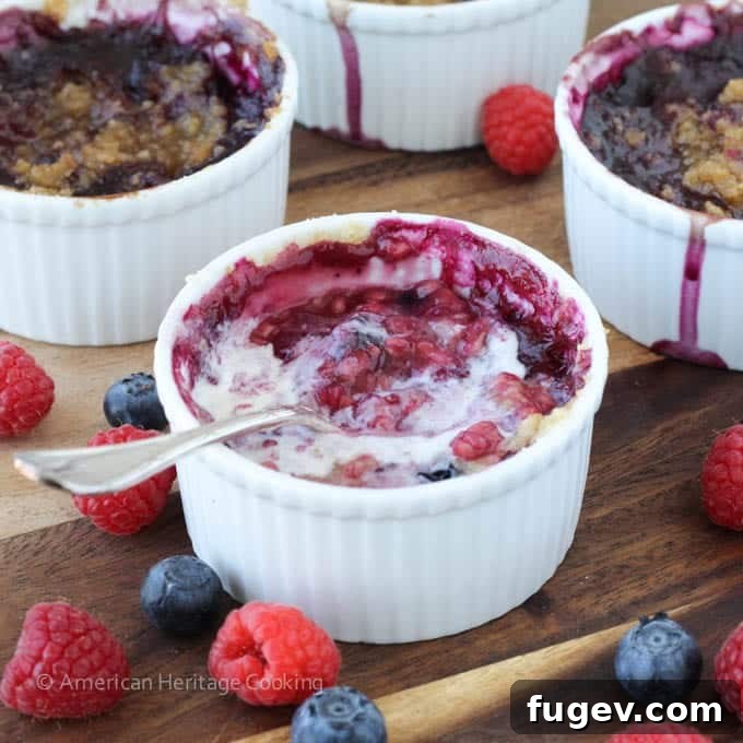 Sweet Blueberry Raspberry Crumble Cups 5 A baked individual blueberry raspberry crumble topped with a scoop of vanilla ice cream.