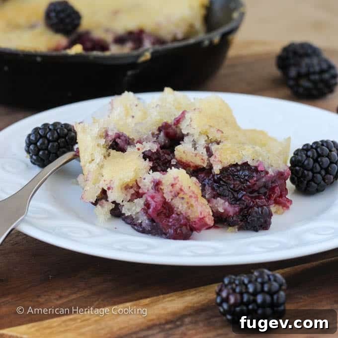 Blackberry Buckle Grandma's Legacy Bake 4 Close-up of baked Blackberry Buckle in a skillet