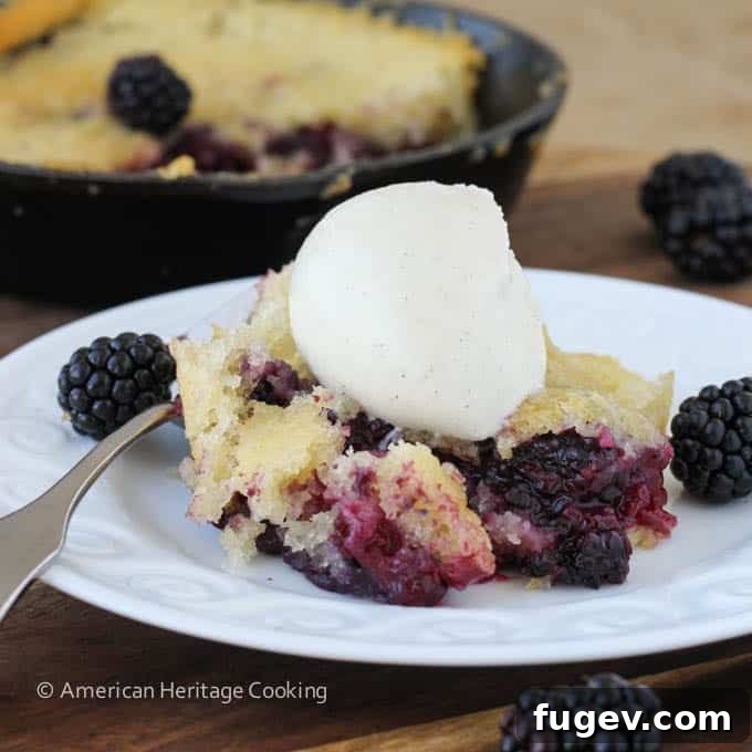 Blackberry Buckle Grandma's Legacy Bake 5 Blackberry Buckle in a serving bowl with vanilla ice cream