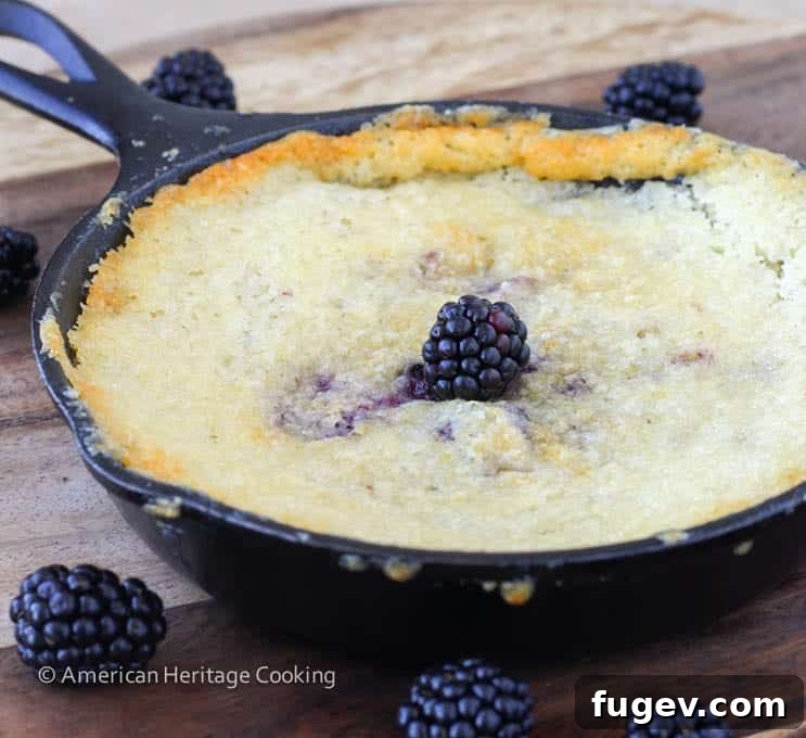 Blackberry Buckle Grandma's Legacy Bake 7 Freshly baked Blackberry Buckle in cast iron skillet