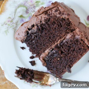 One bowl chocolate cake slice on plate, a simple yet elegant dessert.