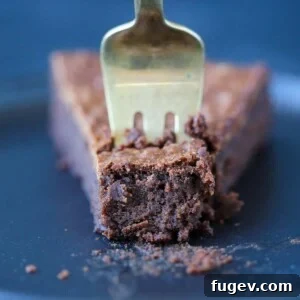 Flourless Chocolate Decadence Cake slice close up on fork, showing its dense and moist texture.