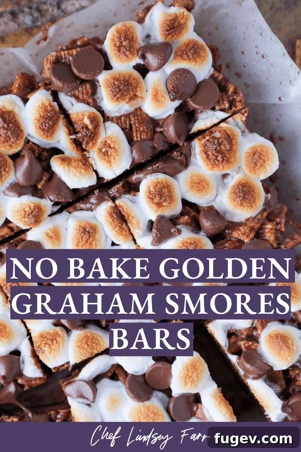 No Bake Golden Graham Smores Treats 9 A vibrant, appealing image of No Bake Golden Graham Smores Bars.
