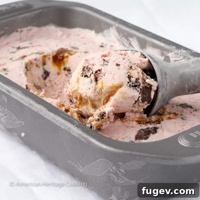 Lush Strawberry Caramel Chocolate Cookie Dream Ice Cream 2 Homemade Strawberry Caramel Swirl Chocolate Cookie Ice Cream