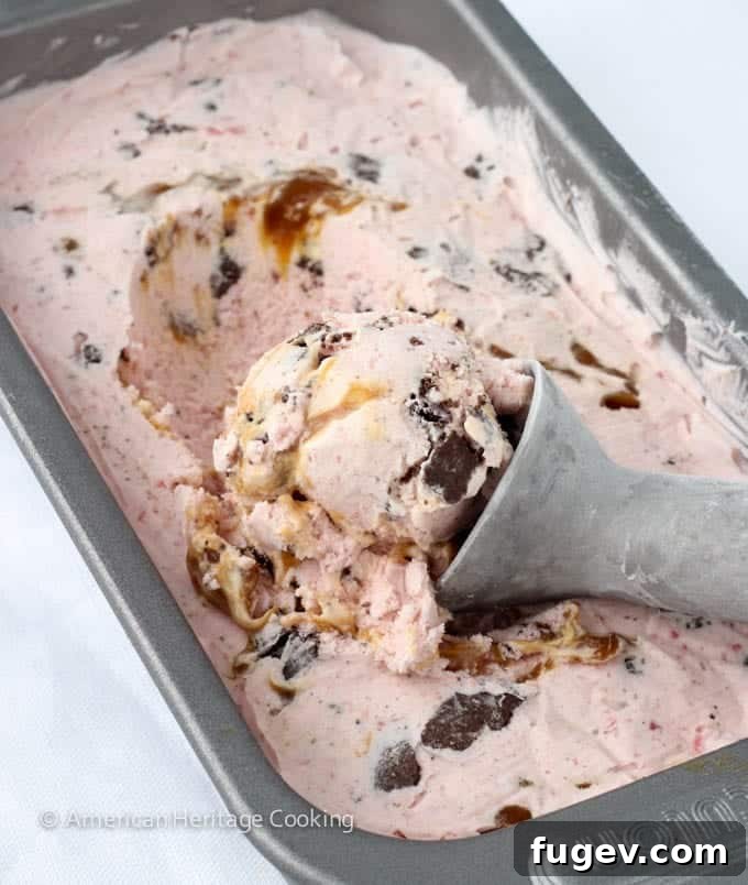 Lush Strawberry Caramel Chocolate Cookie Dream Ice Cream 3 Close-up of Strawberry Caramel Swirl Chocolate Cookie Ice Cream
