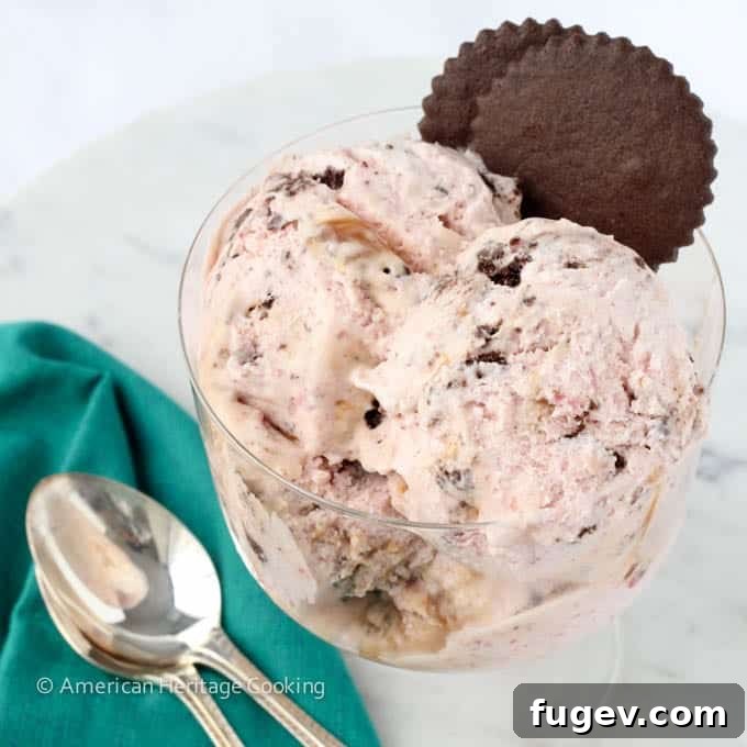 Lush Strawberry Caramel Chocolate Cookie Dream Ice Cream 4 Delicious Strawberry Caramel Swirl Chocolate Cookie Ice Cream