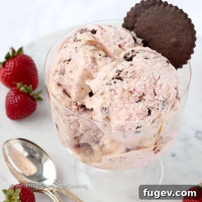 Lush Strawberry Caramel Chocolate Cookie Dream Ice Cream 6 Cuisinart ICE-21 Ice Cream Maker