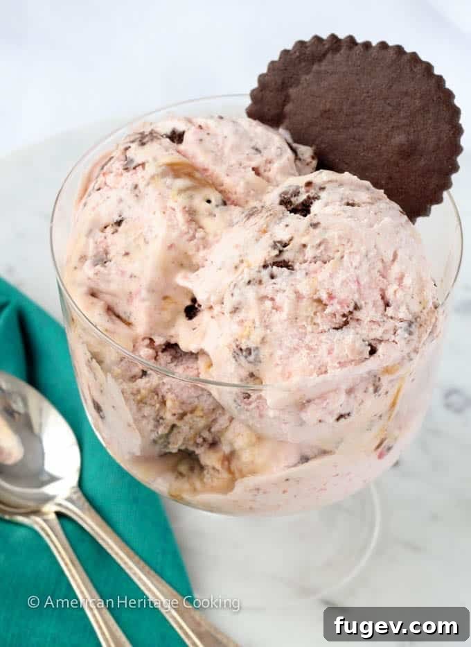 Lush Strawberry Caramel Chocolate Cookie Dream Ice Cream 9 Scoops of Strawberry Caramel Swirl Chocolate Cookie Ice Cream