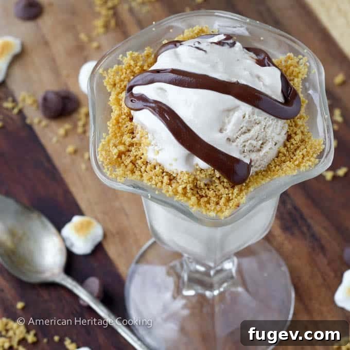 Campfire Smores Ice Cream 2 Toasted Marshmallow Smores Ice Cream Serving - close up of a scoop in a bowl with graham cracker crumbs