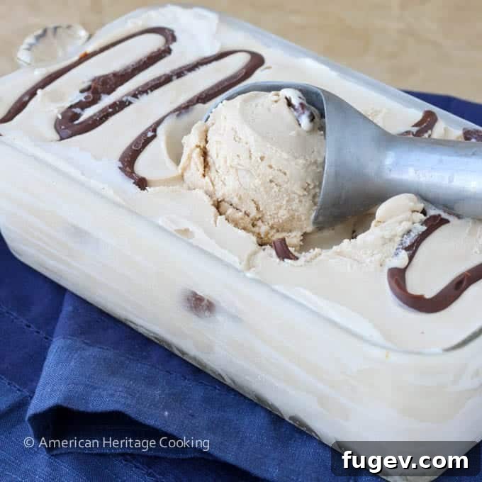 Campfire Smores Ice Cream 3 Toasted Marshmallow Smores Ice Cream in loaf pan