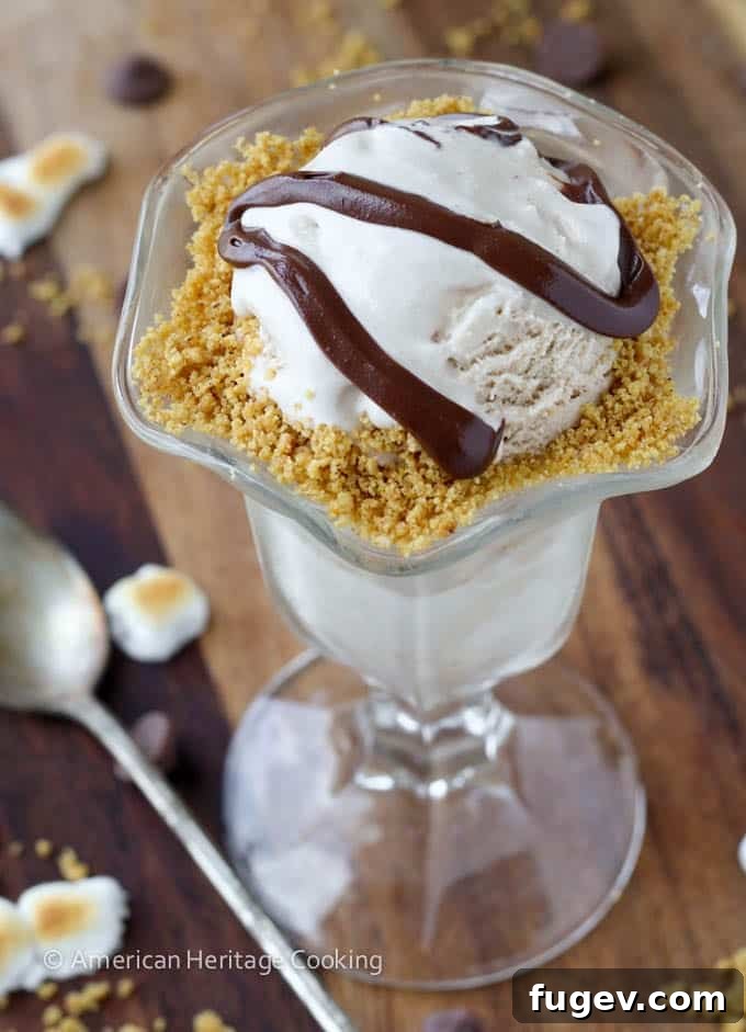 Campfire Smores Ice Cream 6 Toasted Marshmallow Smores Ice Cream close up
