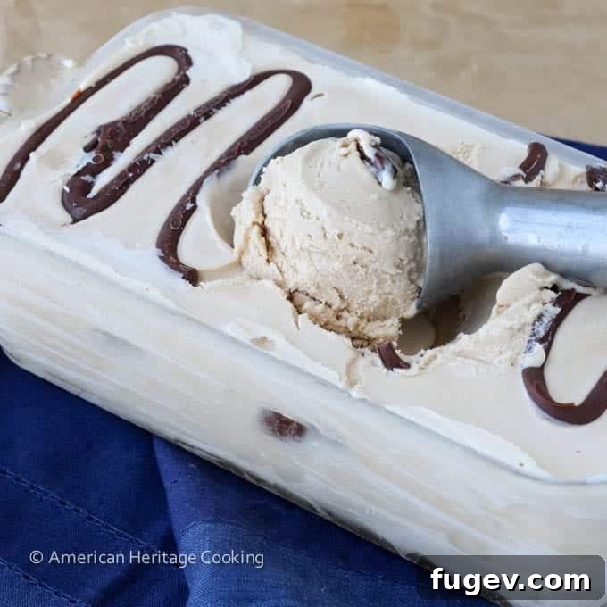 Campfire Smores Ice Cream 7 Toasted Marshmallow Smores Ice Cream from above
