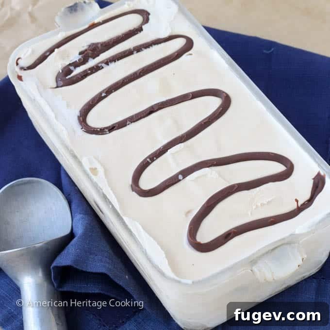 Campfire Smores Ice Cream 9 Toasted Marshmallow Smores Ice Cream in a vintage loaf pan with spoon